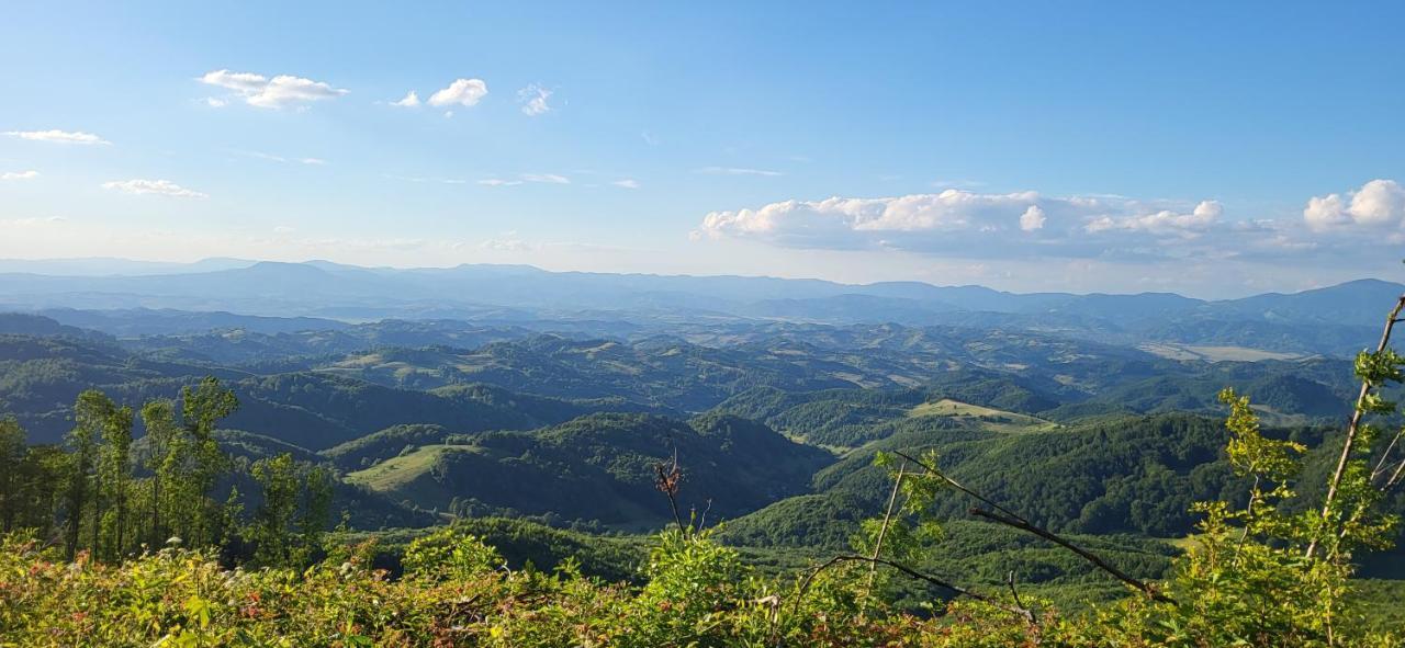 Pensiunea Popasu Suciu de Sus Exterior foto